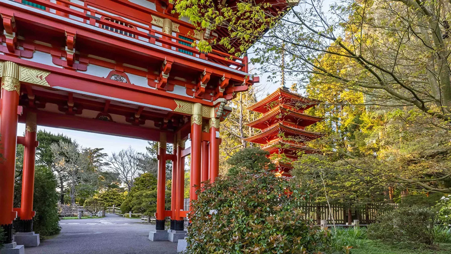 Templo del jardín de té japonés